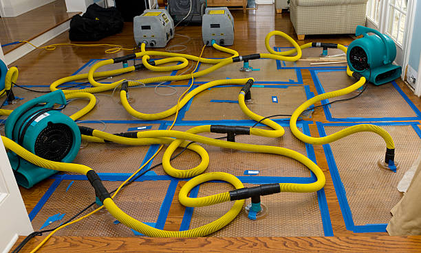 Professional Water Extraction technician working in Blue Springs, MS